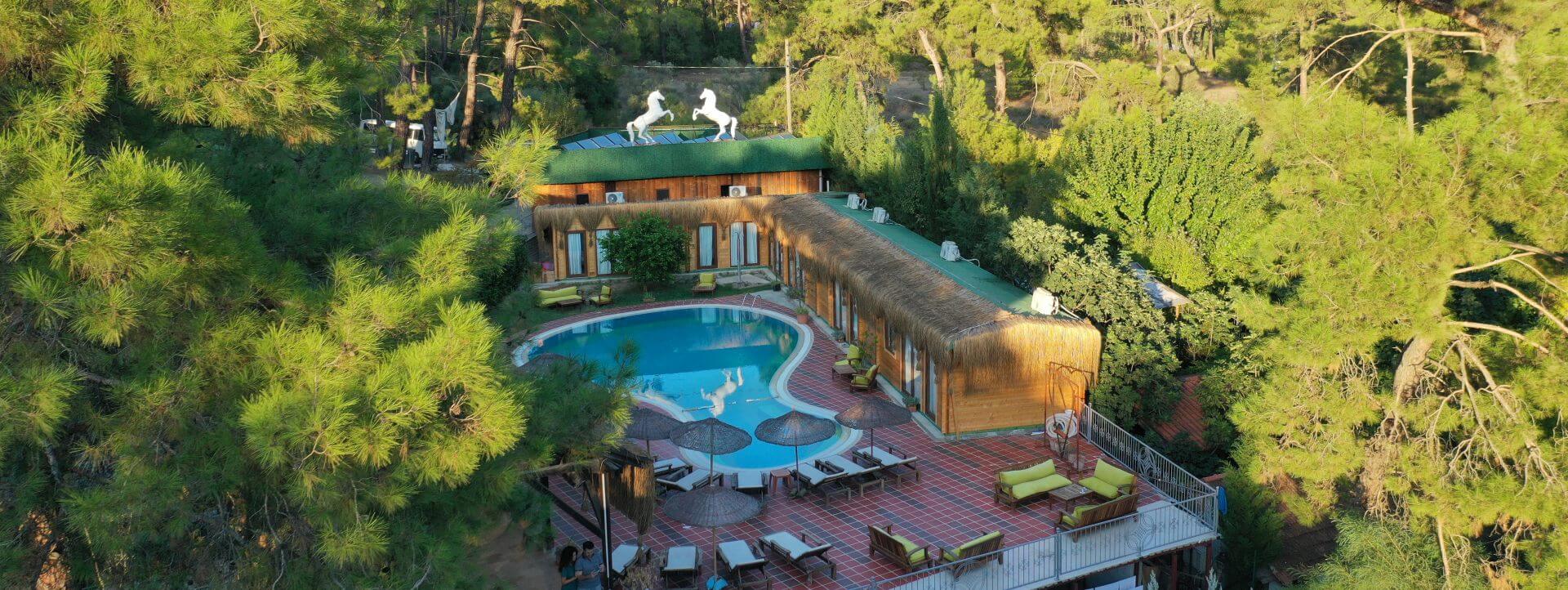 Hotel Olympos Village jest położony w środku piniowo-sosnowego lasu